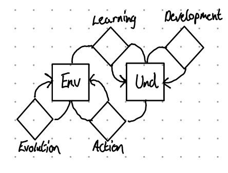 The diagram of the Cybernetic Loop